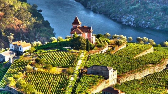 european wine river cruise