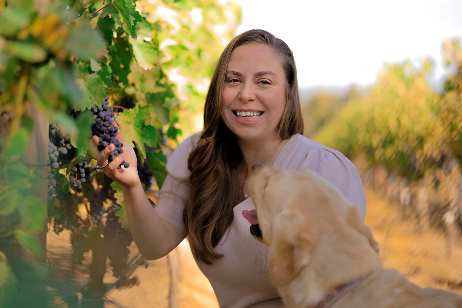 Angelina Mondavi
